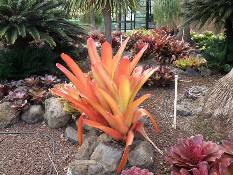 02_Hawaii_2 143.jpg (93729 bytes)